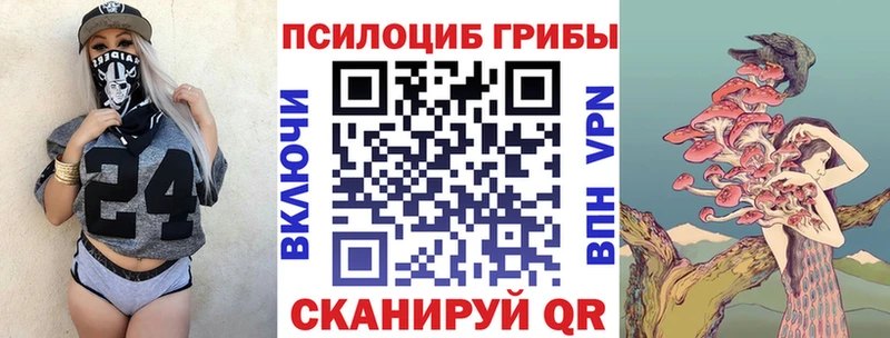 Псилоцибиновые грибы Cubensis Данков